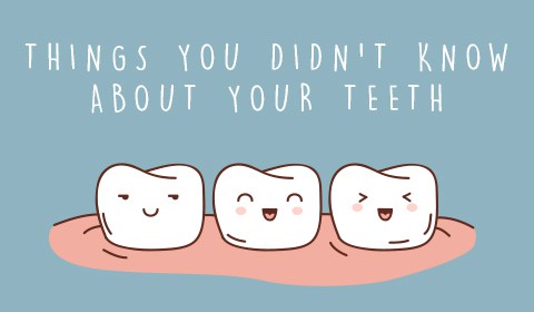 Interesting Facts About Dentistry And Teeth | Dentist in Fresno CA